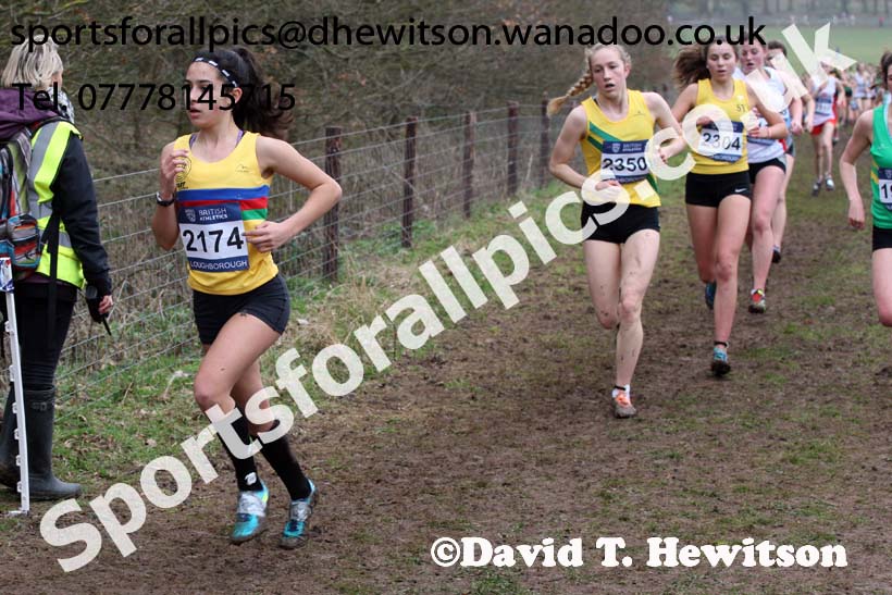 Womens under-17s Inter Counties Cross Country, Prestwold Hall, Loughborough. Photo: David T. Hewitson/Sports for All Pics